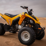 ATVs