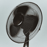 Fans