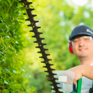 Trimmers