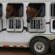 Equestrian trailers