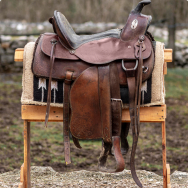 Equipment for horse