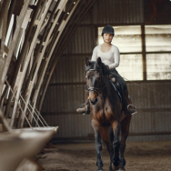 Equipment for stable