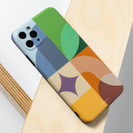 Smartphone cases