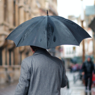 Umbrellas
