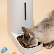 Pet tech and gadgets