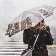 Umbrellas